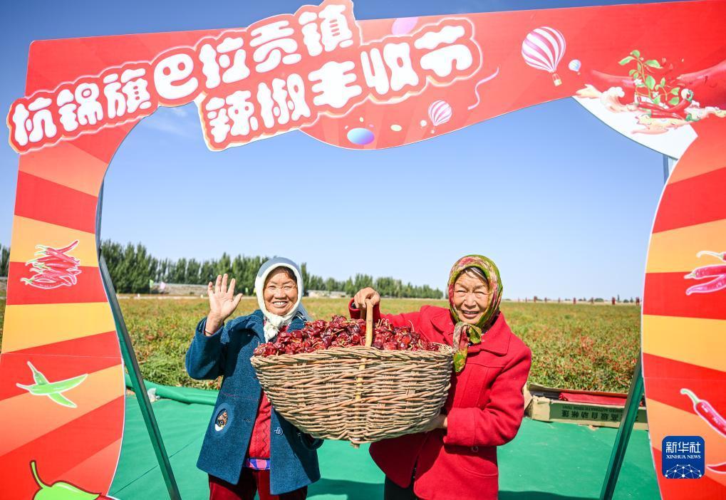 蓬莱岛注册官网